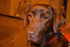 WhatsApp-Image-2024-02-26-at-19.46.04