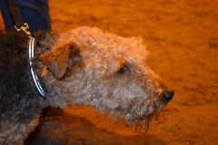 WhatsApp-Image-2024-02-26-at-19.46.05-1