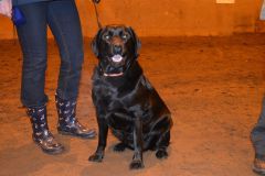 WhatsApp-Image-2024-02-26-at-19.46.07-2