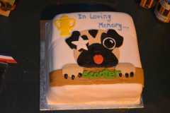 WhatsApp-Image-2024-02-26-at-19.50.25-2