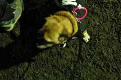 465857582_549842564321234_3108160027424254000_n