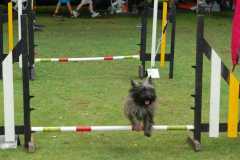 WhatsApp-Image-2024-02-26-at-19.33.00-1