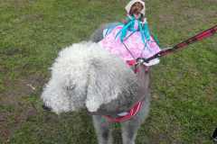 IMG-20230501-WA0002