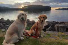 IMG-20230508-WA0000