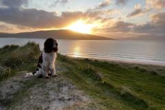 IMG-20230526-WA0000