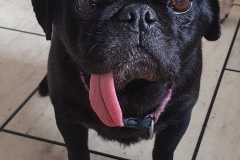 IMG-20230602-WA0000