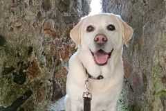 IMG-20230602-WA0001