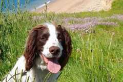 IMG-20230604-WA0002