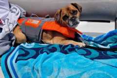 IMG-20230704-WA0000