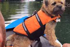 IMG-20230704-WA0002