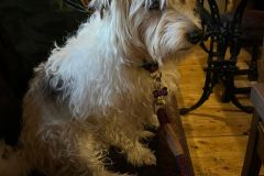 IMG-20230717-WA0001