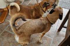 IMG-20230730-WA0000