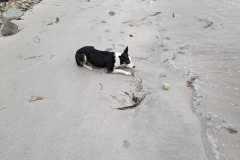 IMG-20230731-WA0000