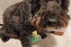 IMG-20230831-WA0000