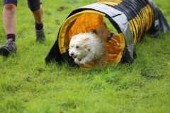 IMG-20230917-WA0005