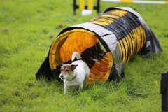 IMG-20230917-WA00081