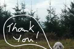 IMG-20231002-WA0001