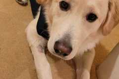 IMG-20231019-WA0004