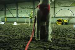 IMG-20231120-WA0004