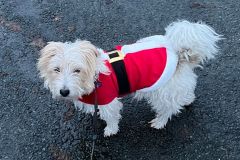 IMG-20231225-WA0000