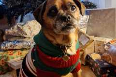 IMG-20231225-WA0006