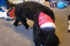 IMG-20231225-WA0011