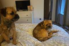 IMG-20231225-WA0012