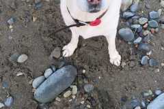 IMG-20231228-WA0000