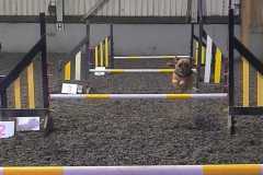 IMG-20240207-WA0001