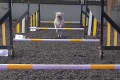 IMG-20240207-WA0003