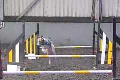 IMG-20240207-WA0004