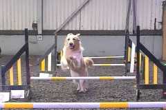 IMG-20240207-WA0005