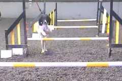 IMG-20240207-WA0006