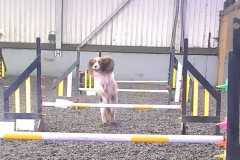 IMG-20240207-WA0007
