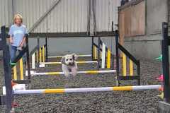 IMG-20240207-WA0009