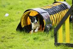 IMG-20240207-WA0011