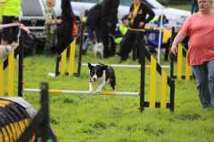 IMG-20240207-WA0013