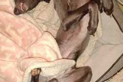 IMG-20240312-WA0005